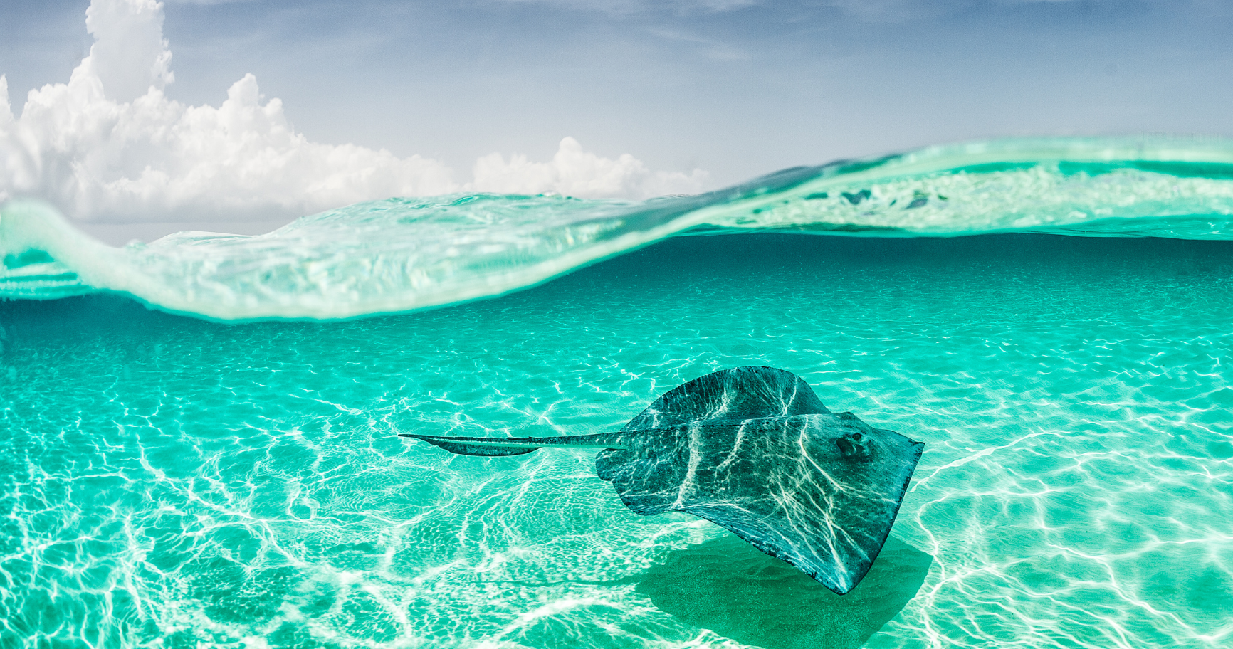 Sunset wave at Stingray City, a top underwater thing to do in Grand Cayman.