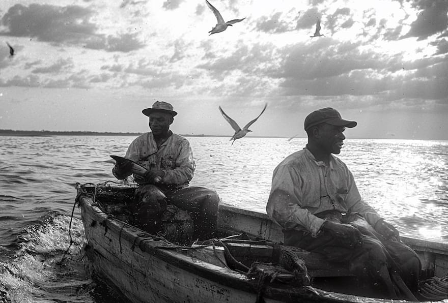 Two fishermen in a small boat surrounded by seagulls at sea