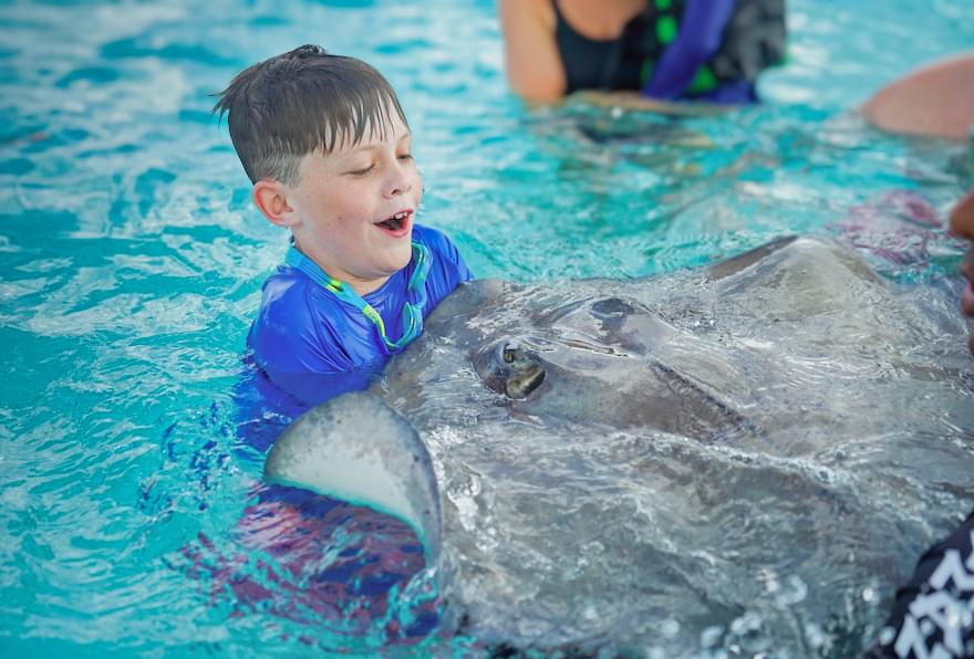 Boy holding a giant stingray in Stingray City Cayman Islands