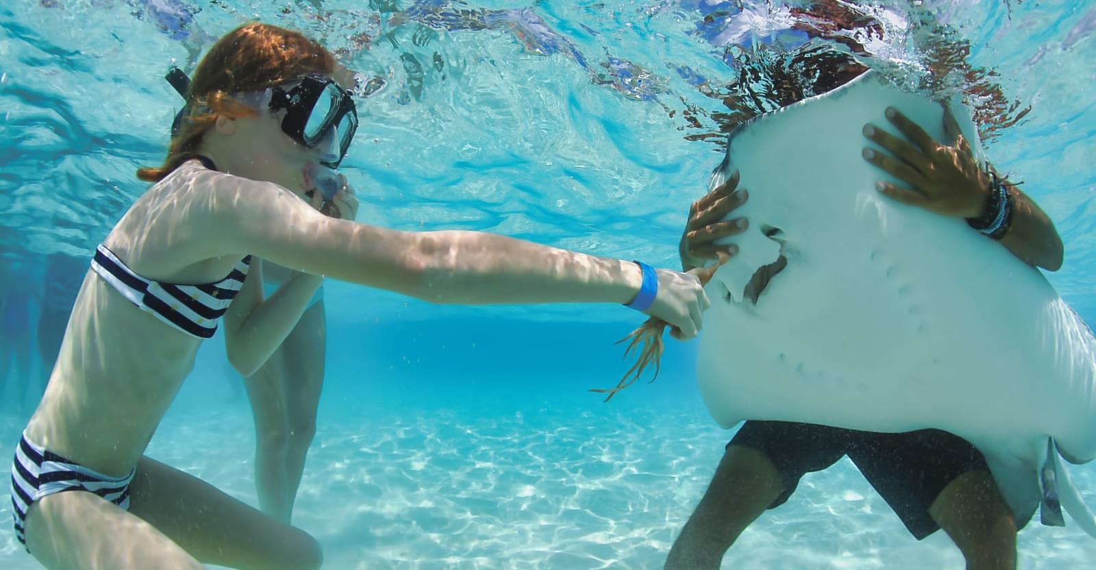 A child reaching out to feed a stingray underwater while snorkeling at Grand Cayman Stingray City Sandbar