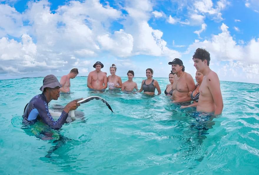People in the ocean near a stingray, with a guide explaining the stingray's barb to the guests.