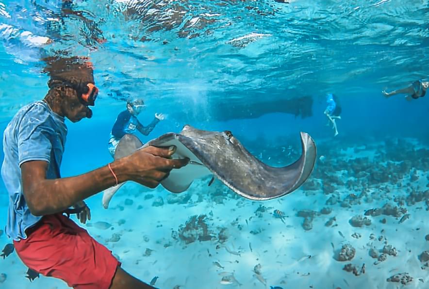Snorkeler holding a stingray in shallow waters at Stingray City in Grand Cayman