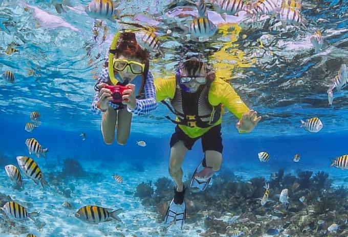 Family snorkeling with tropical fish in a Cayman Island snorkeling spot
