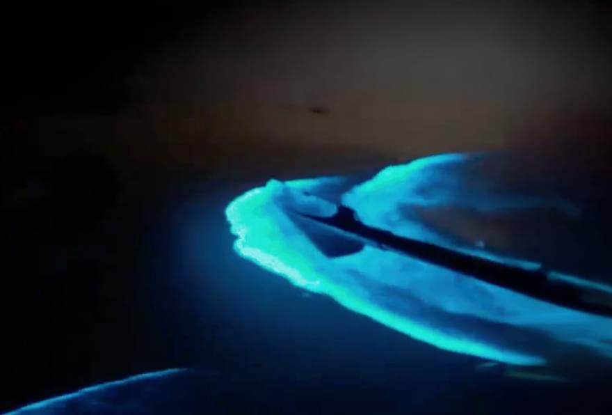 Bioluminescent Bay Cayman Islands kayak paddle stirring glowing blue water at night.