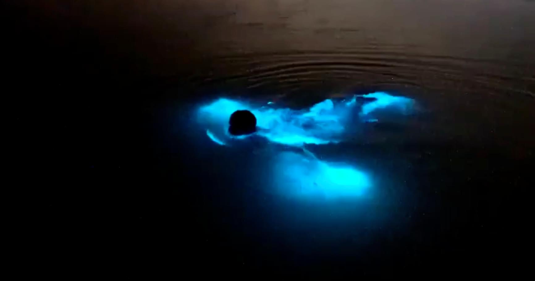 Person swimming in bio BioBay Grand Cayman at night with glowing water.