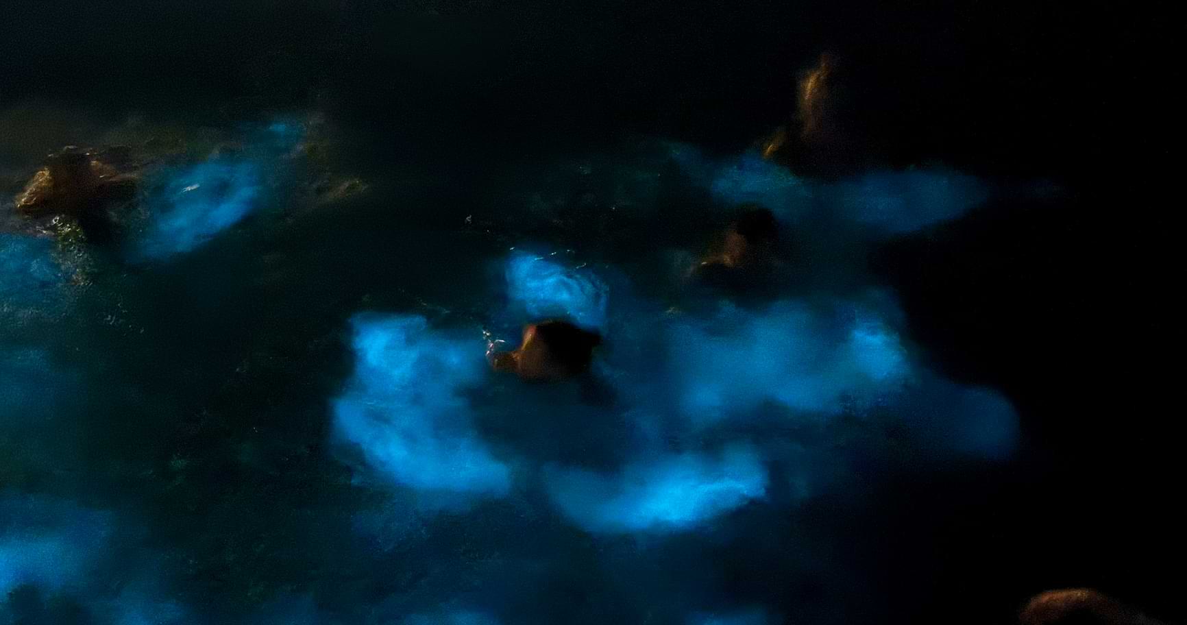 People swim in the Cayman bioluminescence tour at night, surrounded by glowing water.