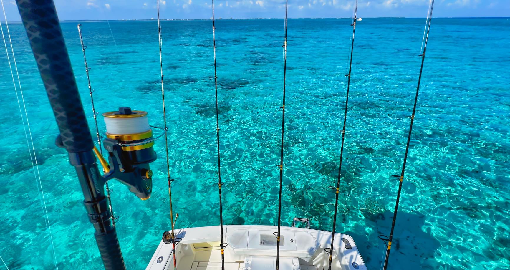 Fishing rods lined up on the back of a boat with crystal clear blue water in the Cayman Islands