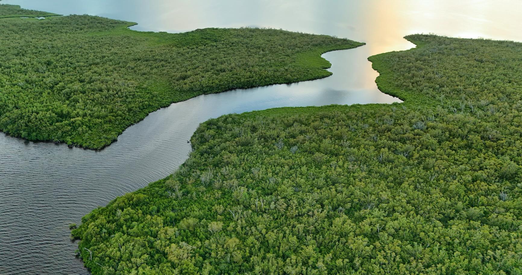Aerial view of lush mangroves, Grand Cayman, and waterways.