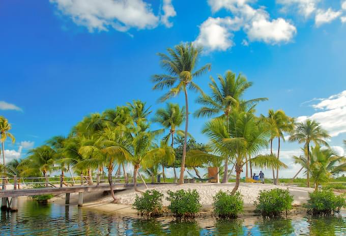 Palm trees and tropical island view at Camana Bay in Grand Cayman