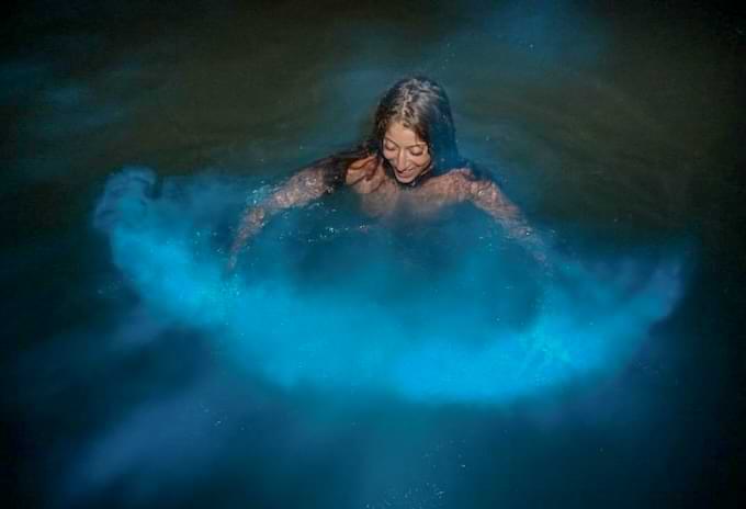 Guest swimming in the bioluminescent waters during a Grand Cayman sunset dinner cruise.