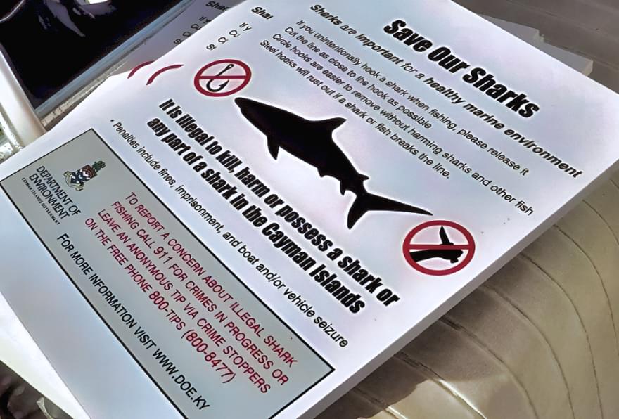 A conservation signboard about shark species and marine safety in the Cayman Islands