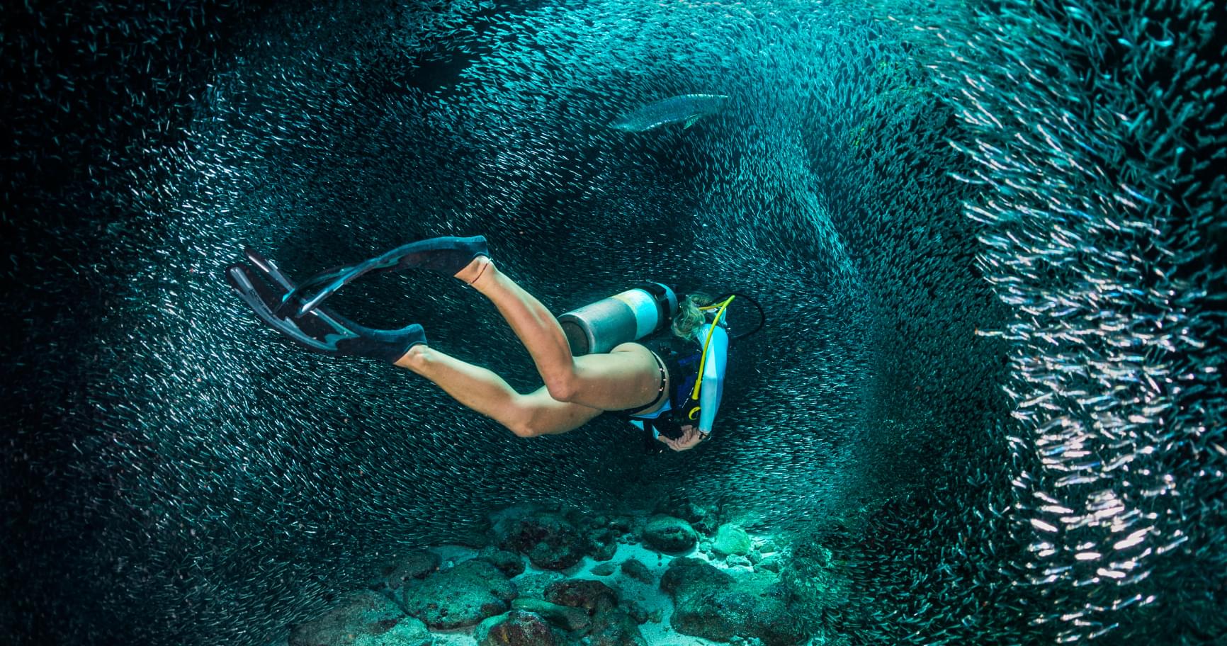 A diver exploring coral reefs and marine life in crystal-clear waters