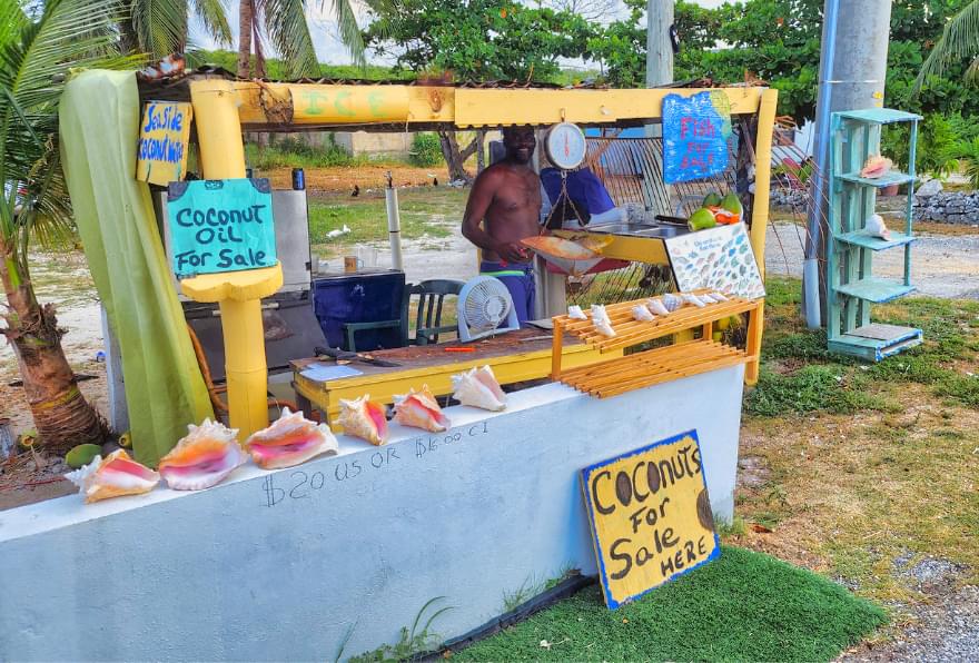 A colorful roadside stand offering fresh coconuts and tropical fruits in Grand Cayman
