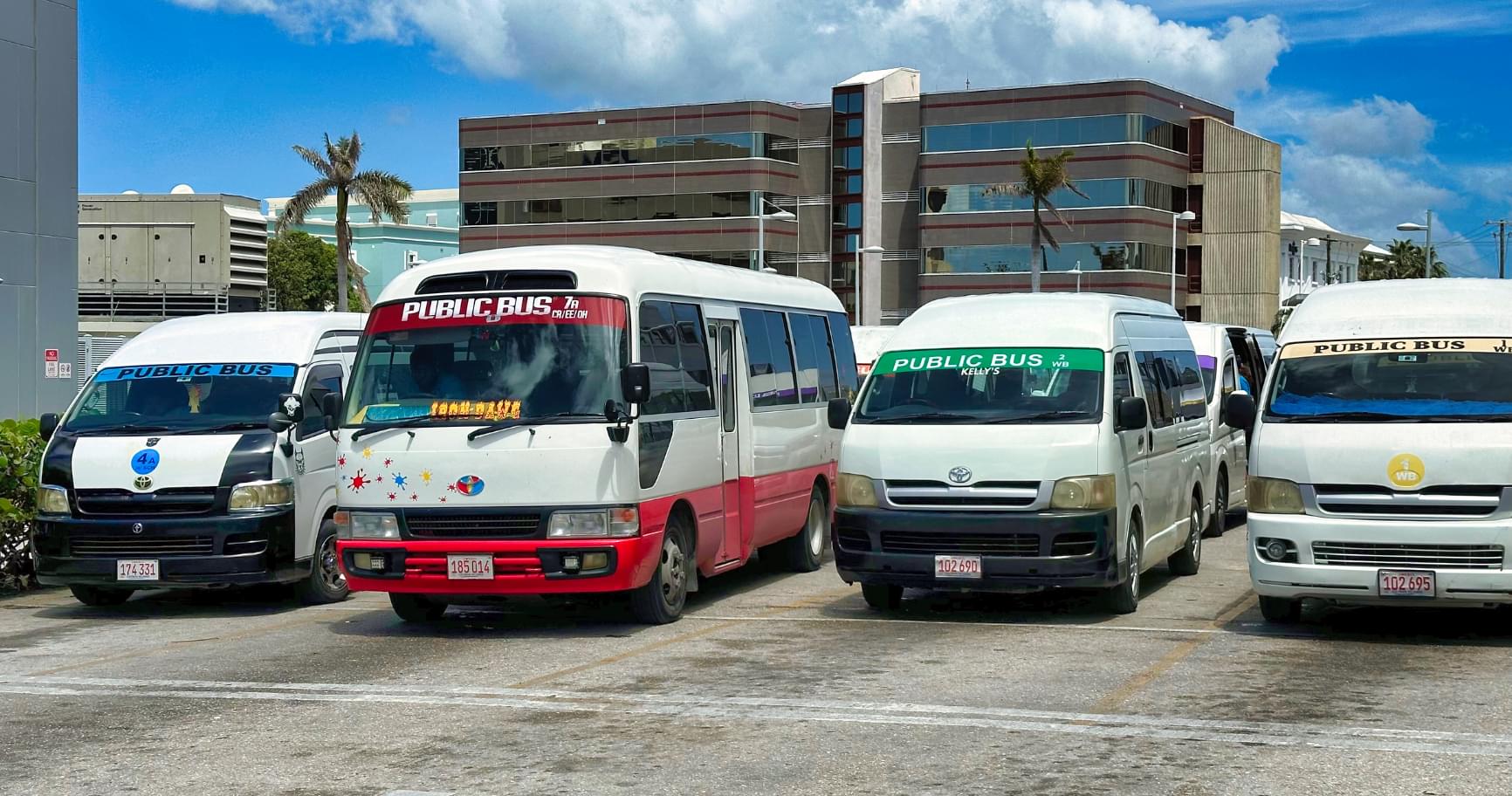 A fleet of colorful buses lined up, ready to take passengers along the Grand Cayman bus routes for easy exploration