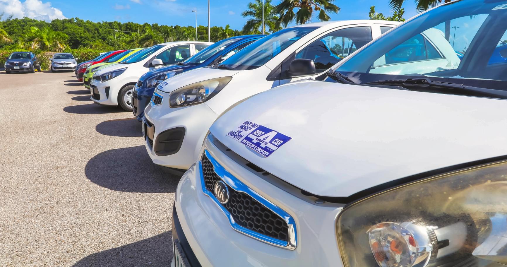 Rental cars lined up near the airport, an alternative option to public transportation in Grand Cayman