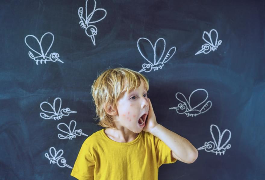Mosquitos illustrated near a child drawing bees on a chalkboard, representing Cayman Islands mosquitoes and their impact on visitors