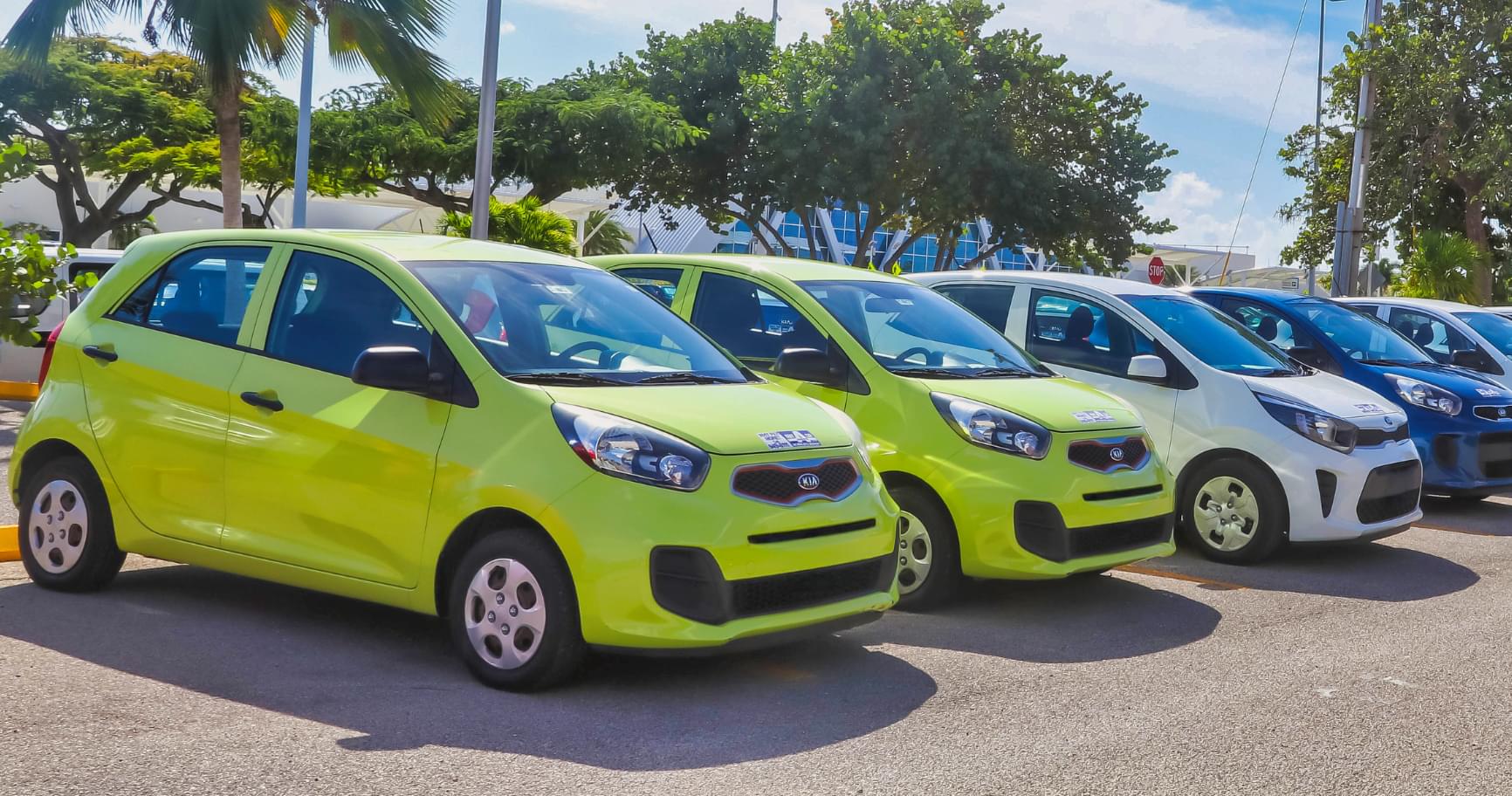 Fleet of parked vehicles at a rental lot showcasing options for car rental at Grand Cayman Airport