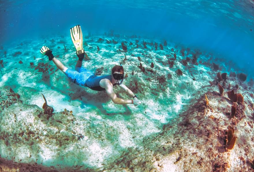 Snorkelers exploring coral reefs near the carnival cruise port Grand Cayman