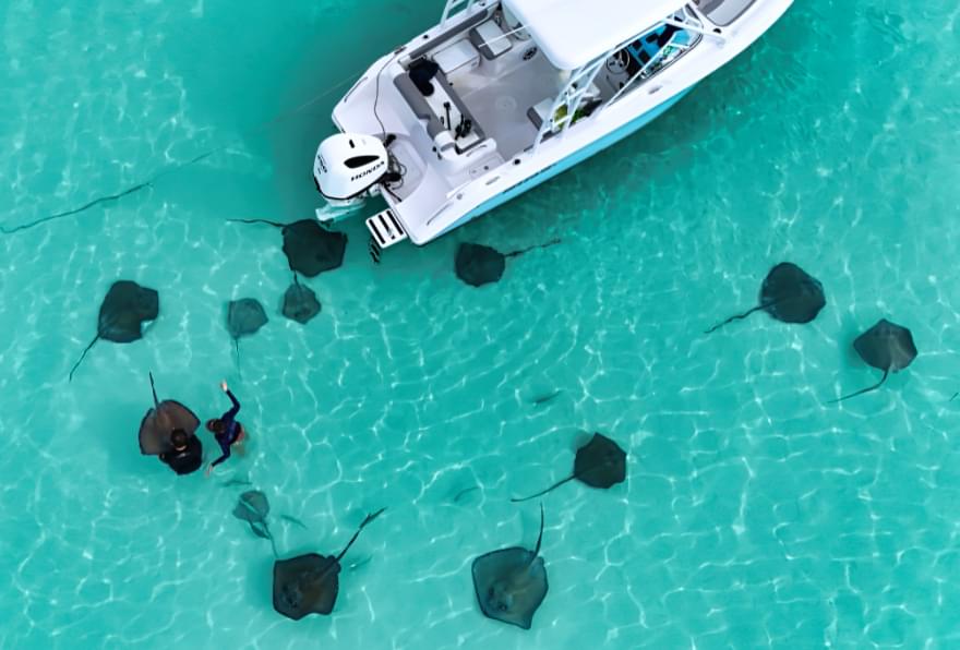 Boat surrounded by stingrays at Stingray City, a must-visit Grand Cayman thing to do.
