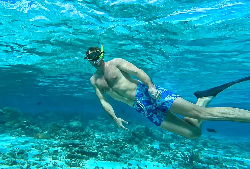 Snorkeler exploring vibrant coral reefs in Grand Cayman waters.