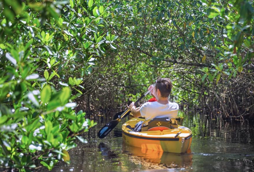 Kayaker paddling through Grand Cayman's peaceful mangroves, highlighting things to do in grand Cayman.