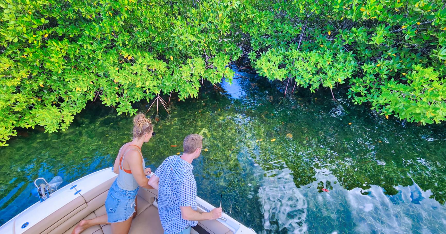 View of mangroves from a private boat tour in Grand Cayman.