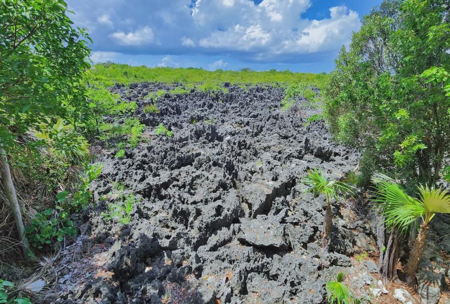 Unique black limestone formations at Hell, Grand Cayman, offer a quirky sightseeing spot.