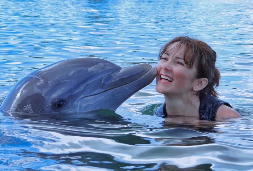 Dolphin encounters in Grand Cayman, swimming with playful dolphins.