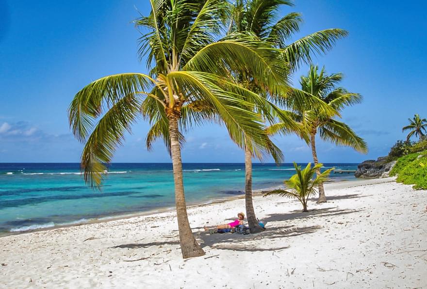 Quiet palm-lined beach in Grand Cayman, perfect for a peaceful escape by the sea.