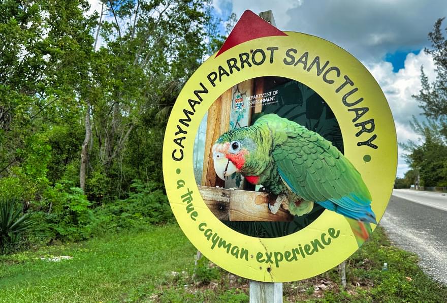 Cayman Parrot Sanctuary sign, highlighting wildlife conservation efforts.