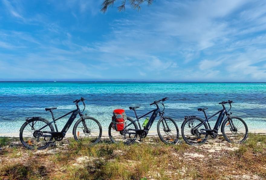 Bicycles parked along a scenic coastline, perfect for a leisurely day in Grand Cayman.