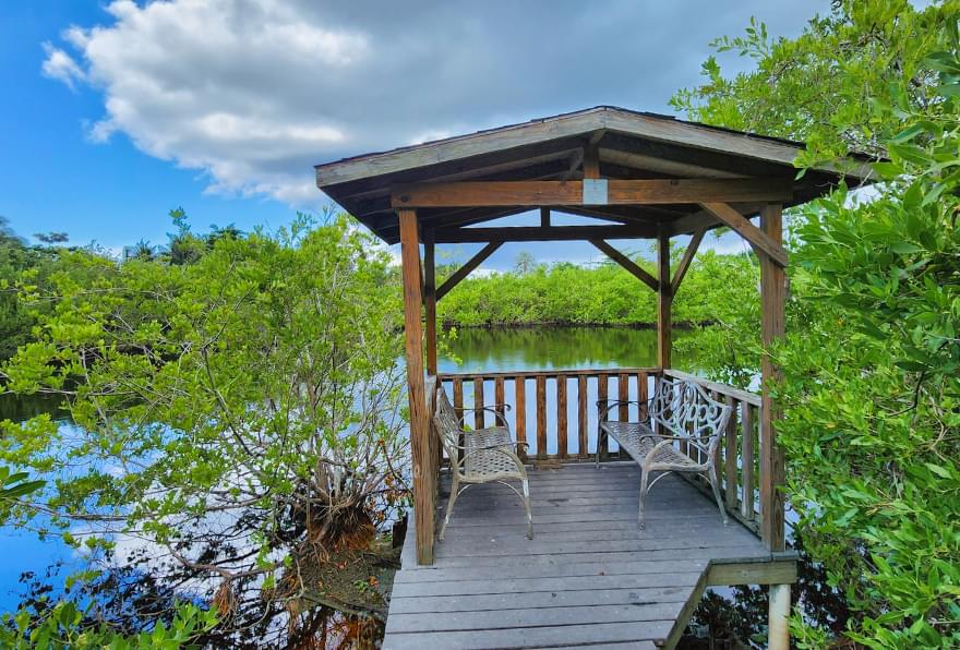 Wooden walkway through serene mangroves, perfect for a peaceful stroll in Grand Cayman.