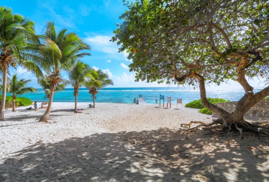 Scenic view of Spotts Beach, Grand Cayman, a haven for sea turtle sightings and peaceful relaxation