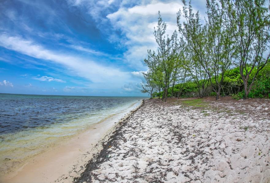 Barkers Beach in Grand Cayman, featuring untouched natural beauty and serene surroundings