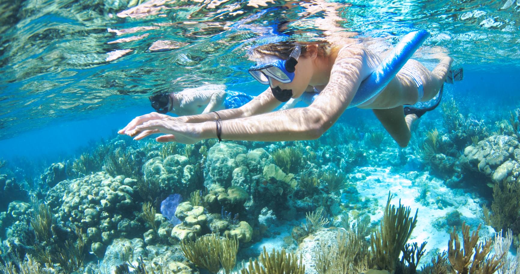 Lady snorkeling through vibrant coral reefs in Grand Cayman’s crystal-clear waters, a highlight of snorkeling tours in Grand Cayman