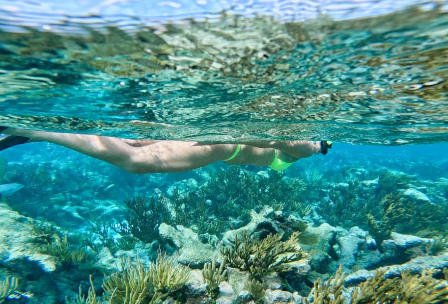 Snorkeler swimming gracefully through clear waters near Grand Cayman, a gem for Grand Cayman snorkeling