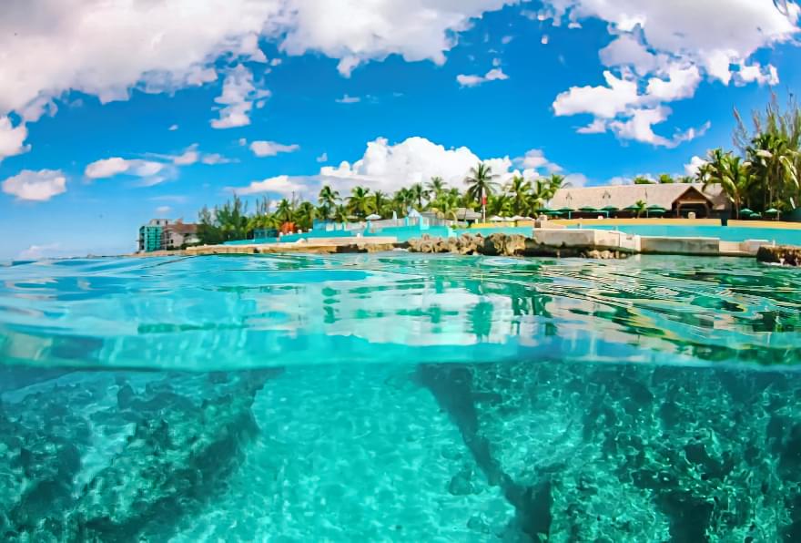 A tranquil view of the waters at Sunset House in Grand Cayman, known for its vibrant marine life