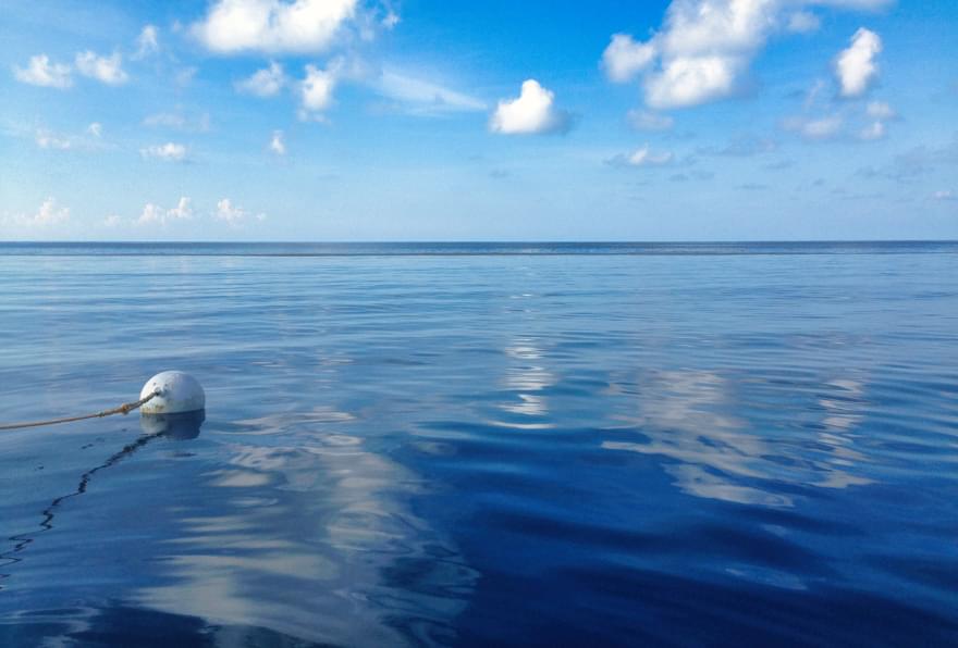 Dramatic drop-off at the North Wall, showcasing one of Grand Cayman’s most spectacular features
