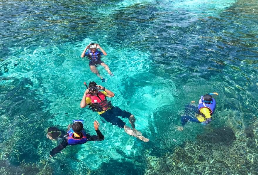 Group snorkeling at Coral Gardens in Grand Cayman, teeming with colorful coral and marine life, ideal for snorkeling trips in Grand Cayman