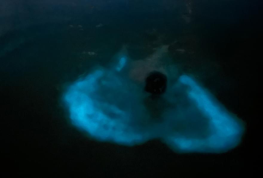 The magical glow of Bioluminescent Bay as swimmers experience its surreal light display