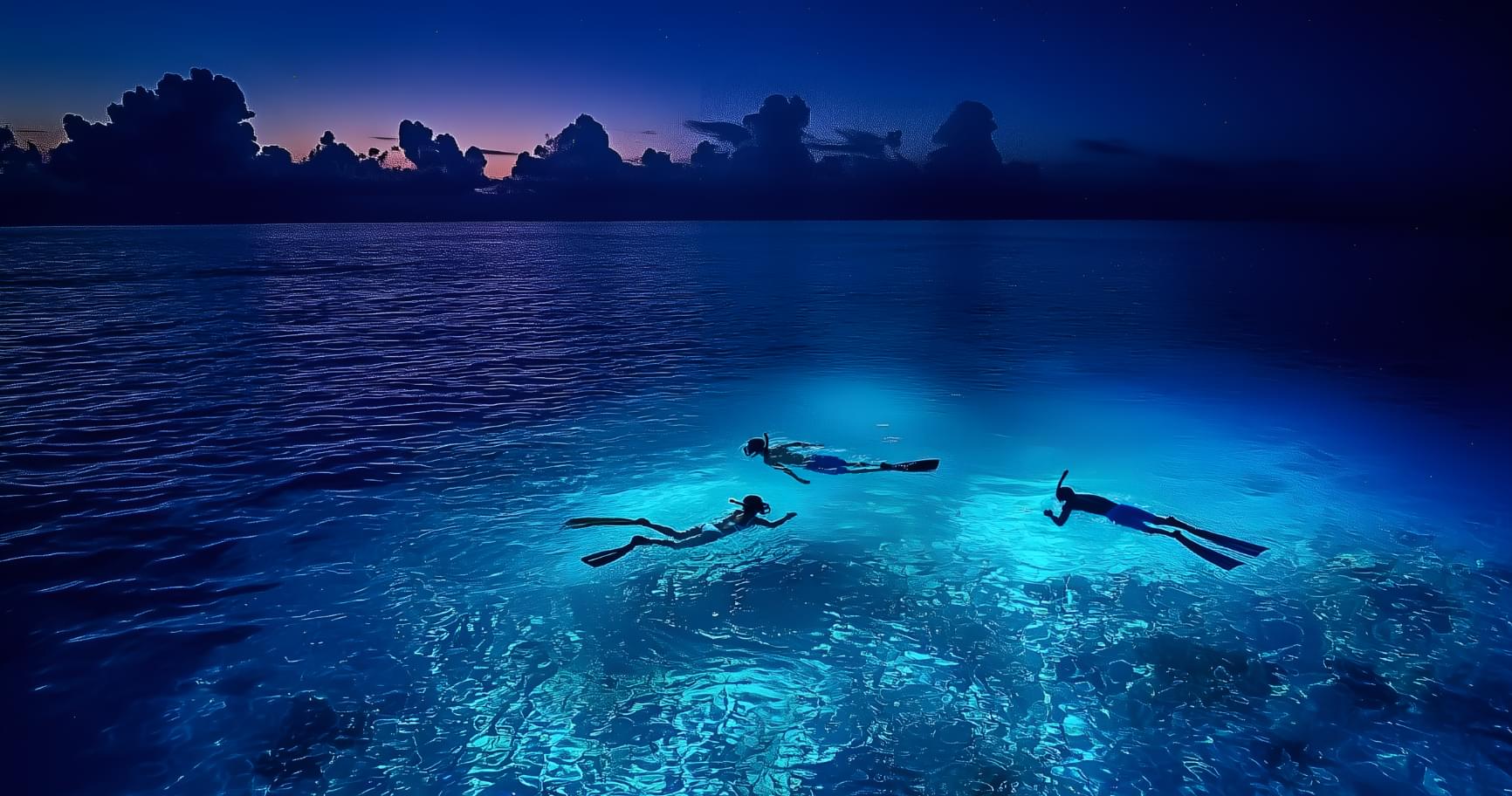Night snorkeling at Grand Cayman, featuring marine life illuminated under the diver's flashlight