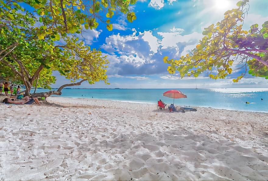 Relaxing beach setup under shaded trees in Grand Cayman, ideal for peaceful Cayman excursions