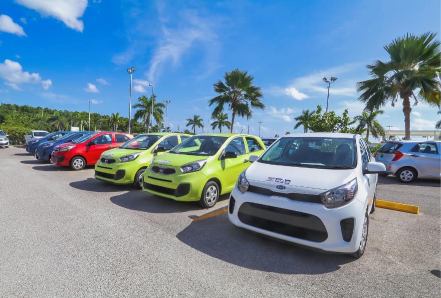 Rental cars lined up in Grand Cayman, offering convenient transport for exploring excursions