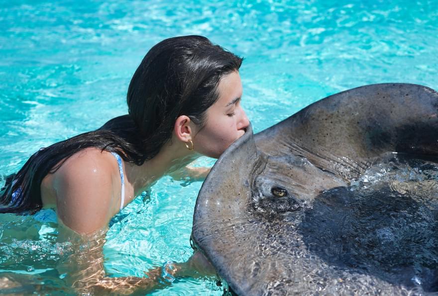 Interaction with stingrays at Stingray City, a highlight of Grand Cayman Stingray City Excursion