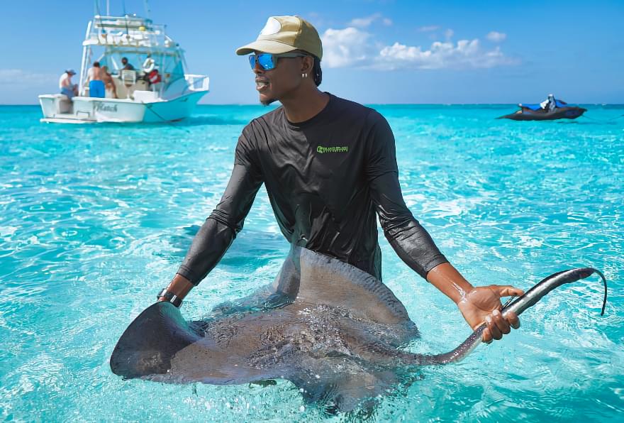 A man in a black shirt holds a stingray while standing in the ocean, showcasing stingray barb.