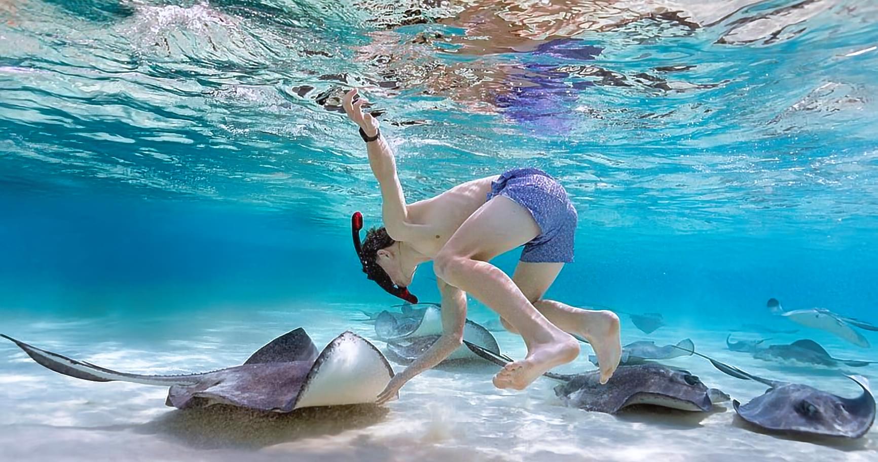 Snorkeler observe rays underwater in crystal-clear waters, which are part of the attractions in Grand Cayman Islands