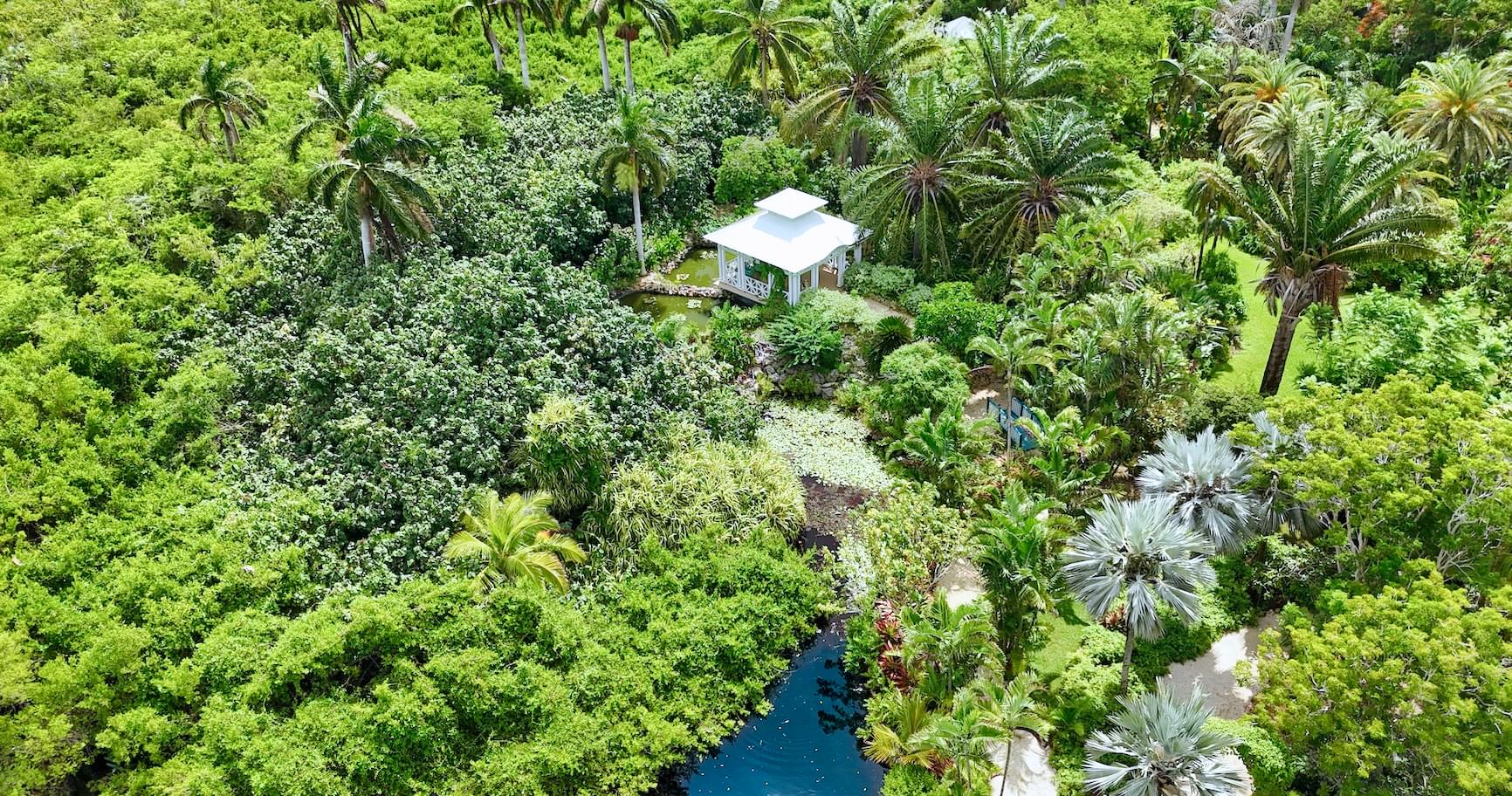 Aerial view of the lush Queen Elizabeth II Botanic park Cayman, showcasing exotic flora