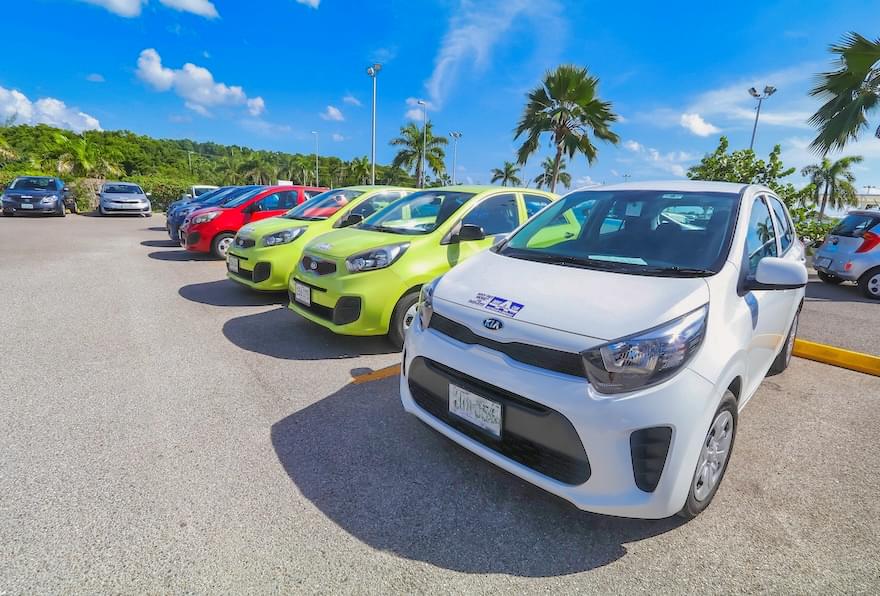 Rental cars parked, ready to explore Grand Cayman