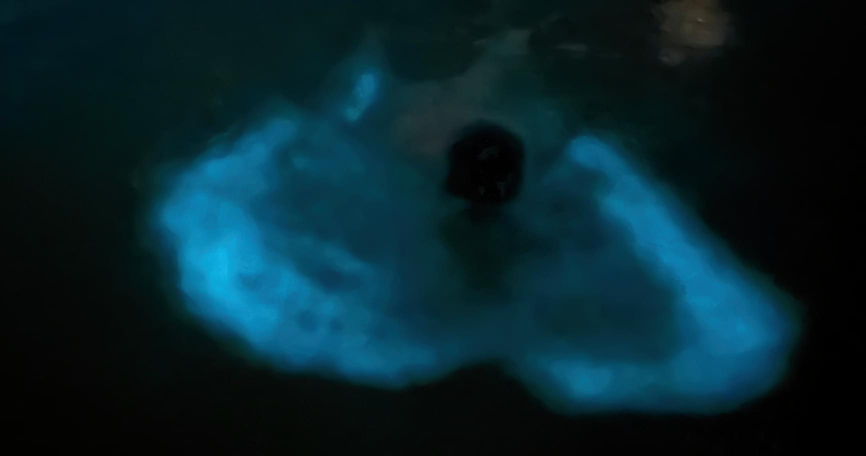 Glowing bioluminescent waters in Bio Bay, a magical experience with Cayman boat hire