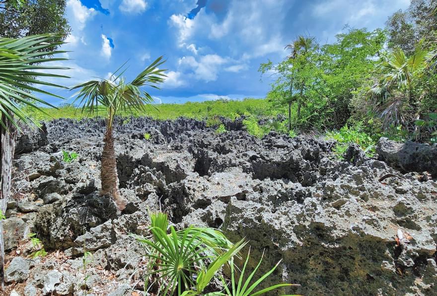 Hell’s black limestone formations, a unique addition to a stingray city and starfish point tour in Grand Cayman